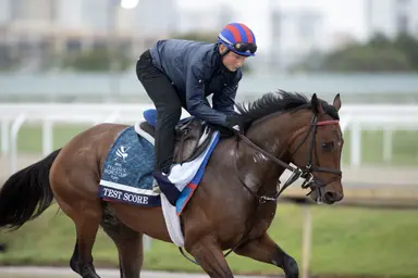Motion barn loaded with turf stars