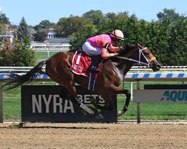 NYRA supports penny breakage for New York tracks
