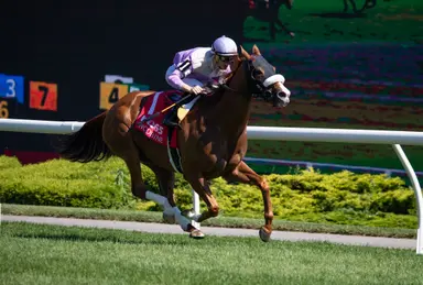 Miss Vyvyanne shuts down the boys in Highlander Stakes