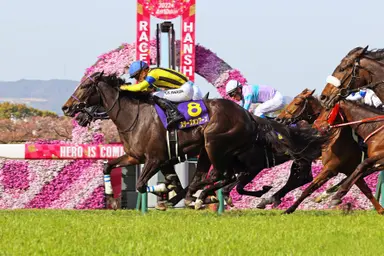 Japan: No Equinox, but other top older horses vie for Osaka Hai Stakes