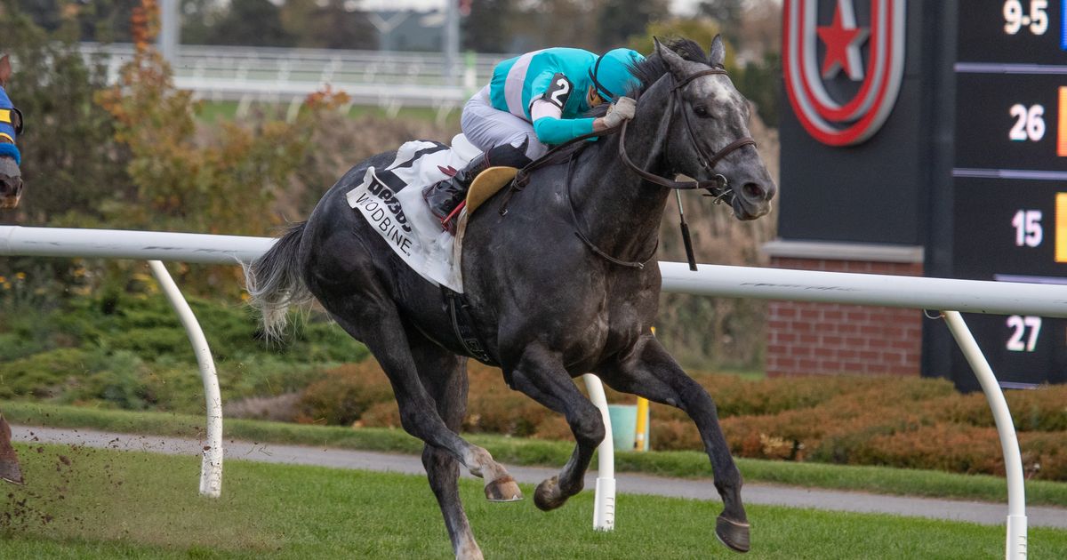 Ciunas surges late to take Overskate Stakes