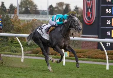 Ciunas surges late to take Overskate Stakes