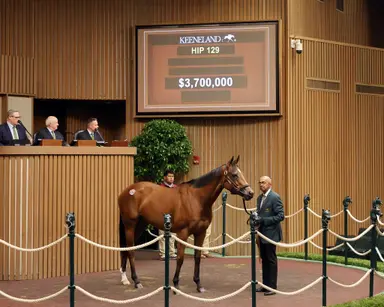 Records fall as Keeneland fall mixed sale concludes