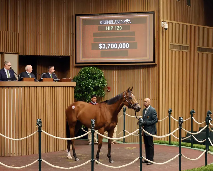 Lush Lips (GB) $3.7 Million at Keeneland November Book 1.jpeg