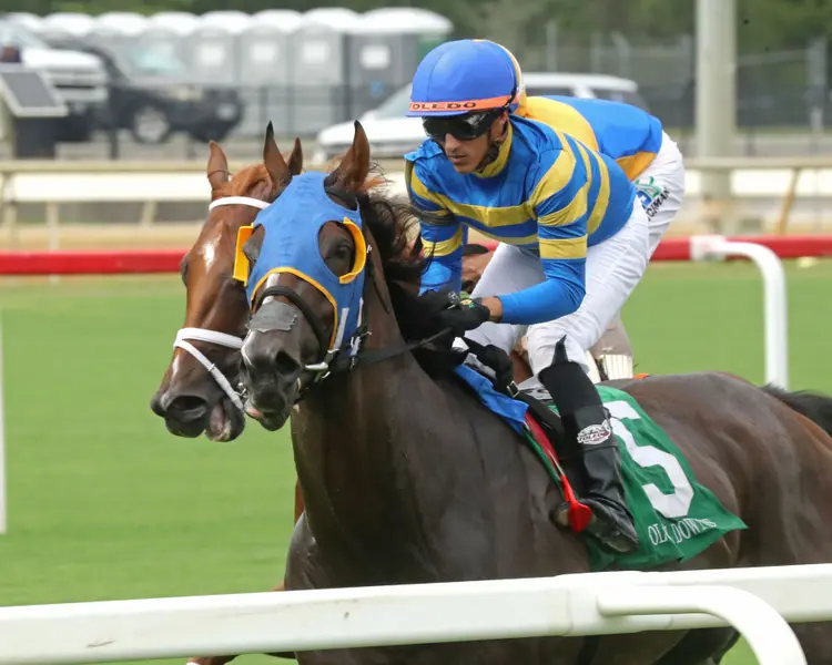 WAR HUMOR - The Edward P Evans Stakes - 06-27-26 - R08 - Colonial Downs - Inside  01 - Nick