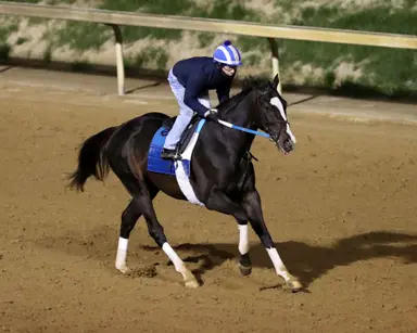 Kentucky Derby 2025: Tiztastic, Publisher lead workers across the state