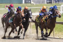 Obliteration runs past Shane's Wonder late, takes Chick Lang Stakes