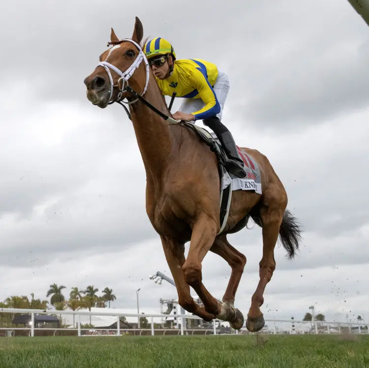 Red Knight wins the William L. McKnight at GP Jan 28 2023