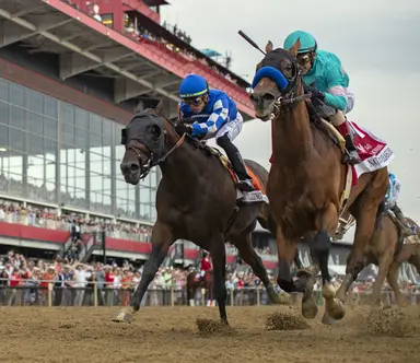 Baffert gets Preakness victory, but will remember Chick Lang death