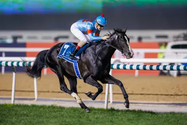 Japan: Equinox nearly unanimous in Horse of the Year vote