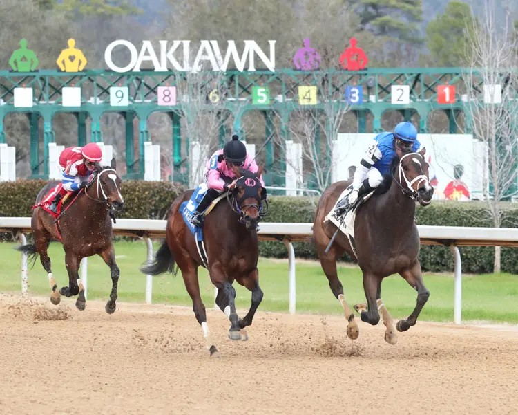 Oaklawn scenic