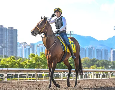 Namura Clair good fit vs. males in the Takamatsunomiya Kinen