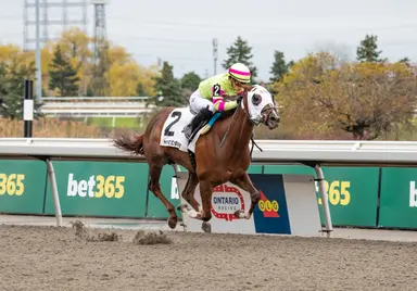 Vives claims third straight Star Shoot win aboard Mony Mony