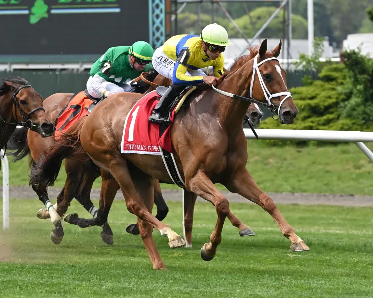 red knight the man o war2.jpg