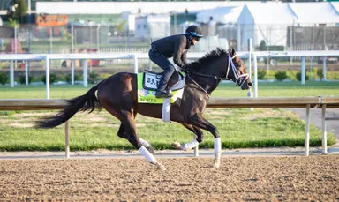 Forte scratched from the Kentucky Derby