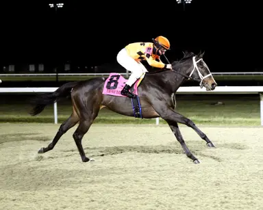 Cincinnati Trophy pits sprint stakes winners vs. proven route fillies
