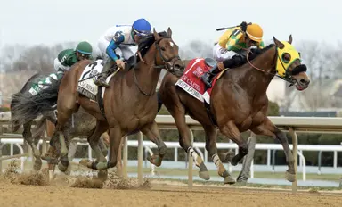 Trainer Kreiser notches first graded stakes as Point Dume takes Carter