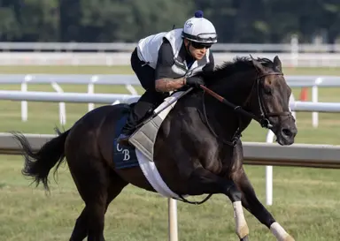 Spirit of St Louis looks to end skid in Kingston