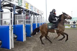Woodbine opens 2026 meet; renovated turf course set for use in September