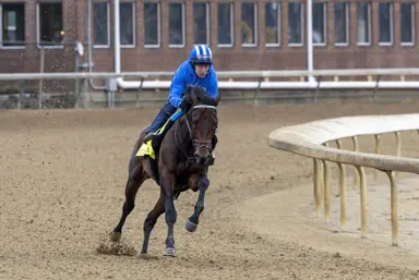 Kentucky Derby: Desormeaux unwavering in belief he's doing right by Confidence Game
