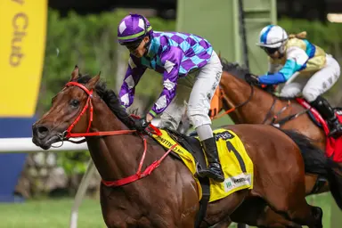 Regal Gem bids to maintain DBS x Manulife Million Challenge supremacy