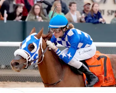 Stewart has one-two punch in Majestic