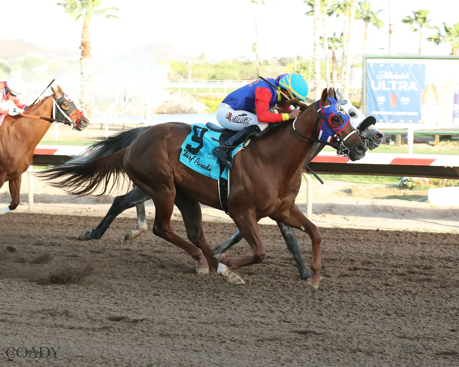 Distant Fleet ($54.40) blazes Phoenix Gold Cup