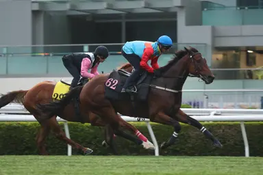 Ka Ying Rising trials ahead of Sprint Cup as FWD Champions Day approaches