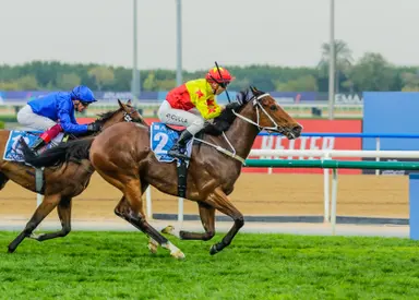 California Spangle enjoys cutback, sets course record in Al Quoz Sprint