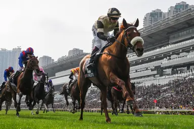 Marco Botti praises rider Oisin Murphy as Giavellotto storms clear in the LONGINES Hong Kong Vase