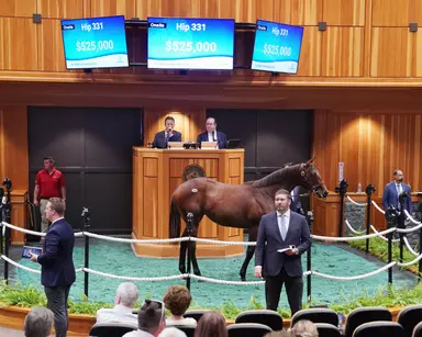 Fasig-Tipton New York-bred sale: Early Voting filly tops first night at $525,000
