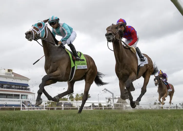 Wicked Fast.Shawdyshawdyshawdy (not winners).1-28-23