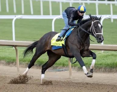 Gun Runner, Justify look to add Kentucky Derby winner to sire accomplishments