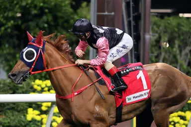 Aurora Lady, Beauty Destiny clash in stacked Class 2 sprint at Happy Valley