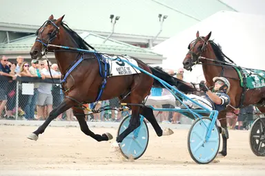 Woodbine Mohawk Park: Stakes season begins this weekend; mandatory Hi-5 on Saturday