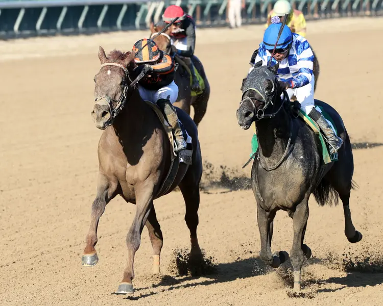 Clapton (left) beats Trademark in Lukas Classic at CD Sept 30 2023
