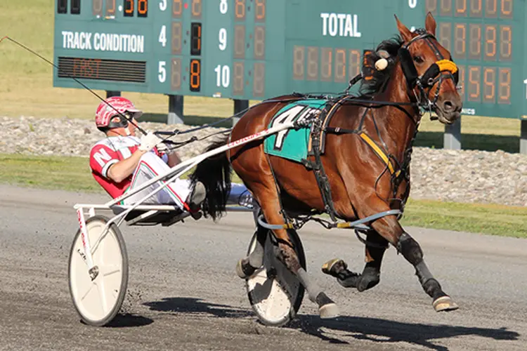Ruthless Hanover 5-28-23
