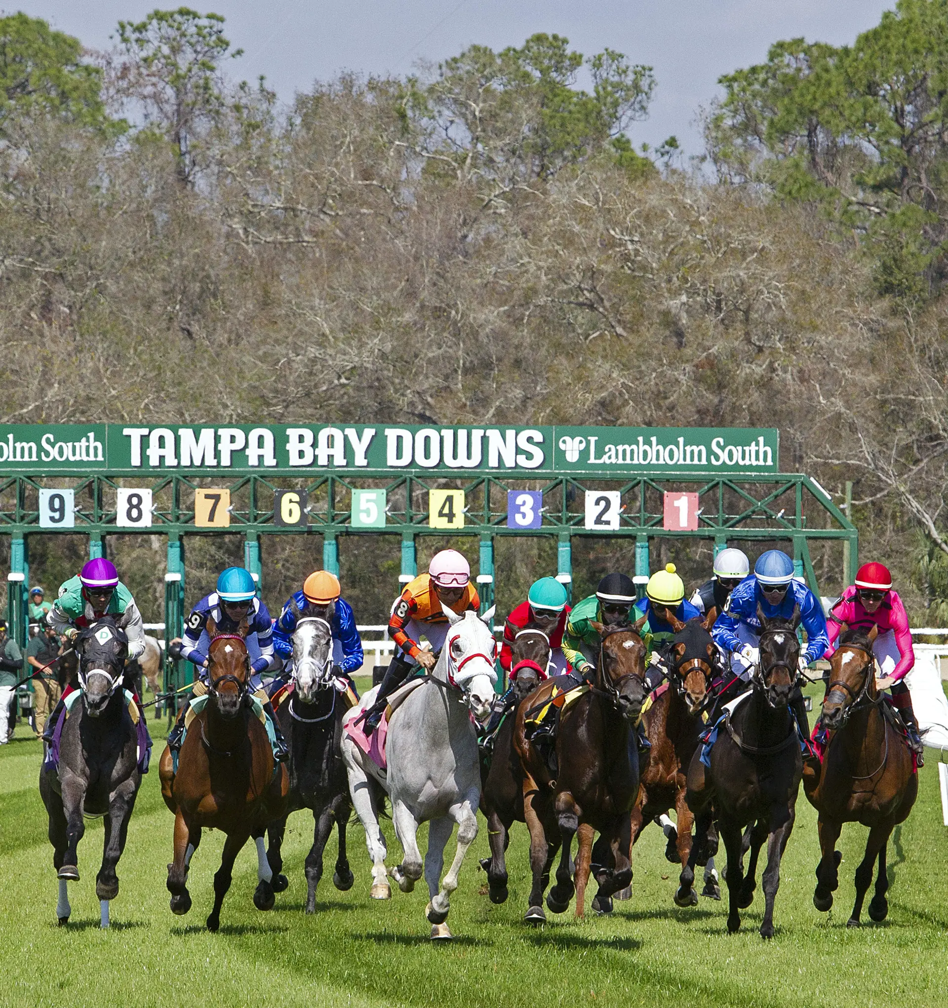 Year-over-year wagering up at 2025-2026 Tampa meet