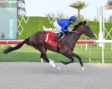 First mares reported in foal to Cody's Wish