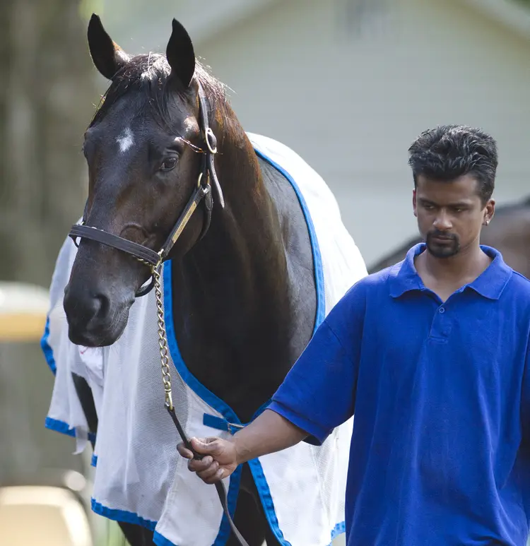 Cozmic One15.8-5-14.BL_.jpg