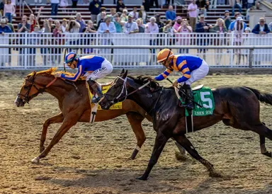 Paladin punches Kentucky Derby ticket with Risen Star triumph