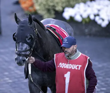Rice likely to give Arctic Arrogance a shot in Wood Memorial