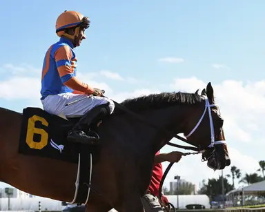 Off big Beyer in comeback, Grande in position for first stakes win in Ghostzapper