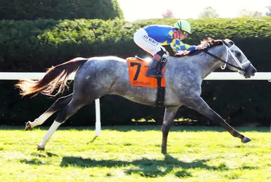 Kentucky Derby pedigree profile: Fulleffort