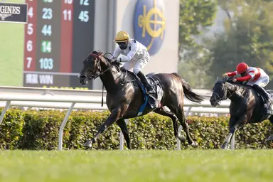 Luke Middlebrook's Hong Kong Selections and Analysis for Sunday, May 31, 2026