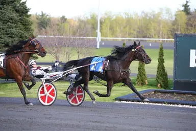 Woodbine Mohawk Park:  Fellows pupils perfect in SBOA male trot elims
