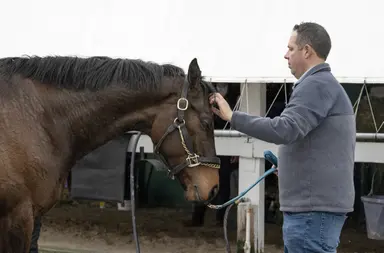 Pick six pool should exceed $400,000