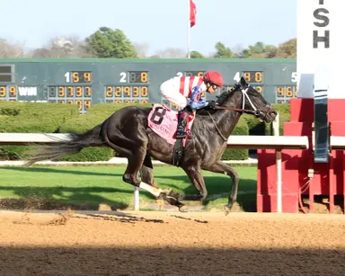 Hymn exits key race, makes first start as gelding