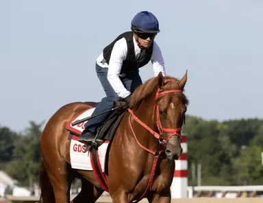 The Puma has serious Travers work; Renegade goes nice and easy