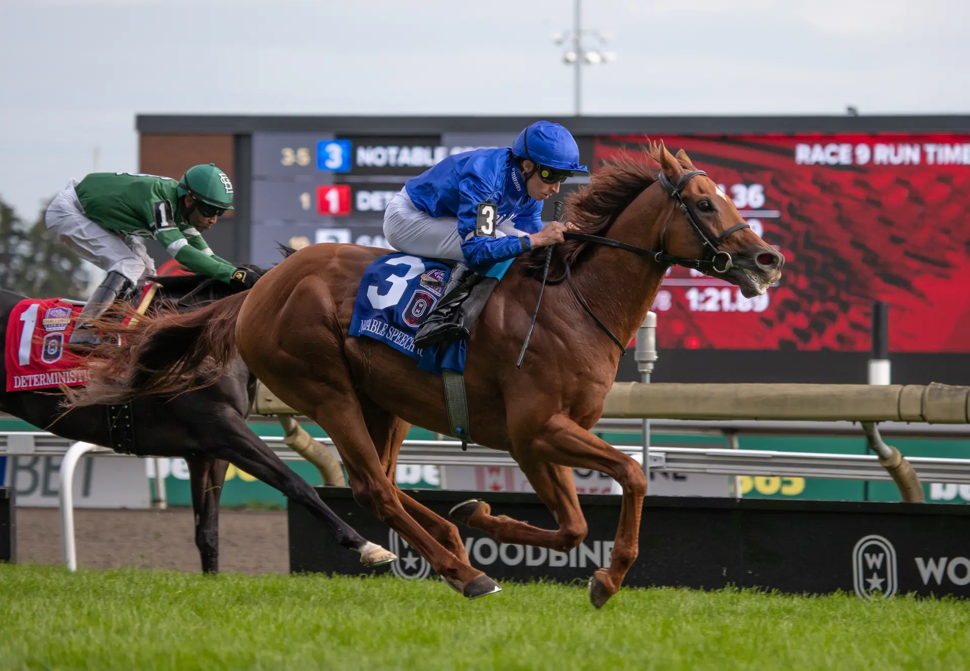 Notable Speech makes point in Woodbine Mile, gains berth in BC Mile